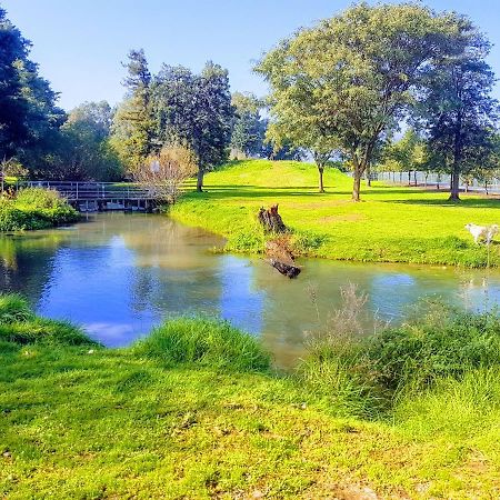 Huge & Private Villa In Kibbutz Metsudat Menahem Ussishkin Alef Exterior foto