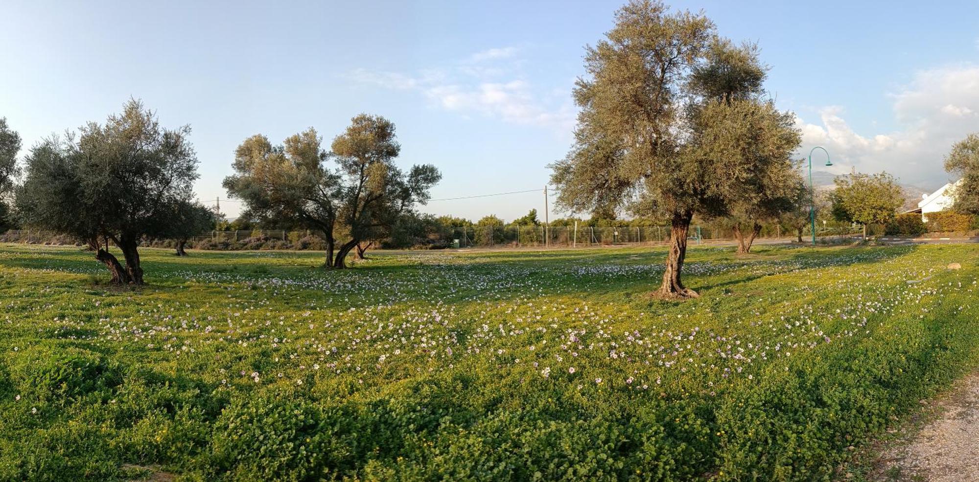Huge & Private Villa In Kibbutz Metsudat Menahem Ussishkin Alef Exterior foto
